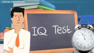 iq test